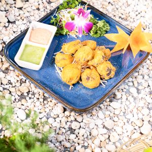 Đông Cô Thảo Mộc