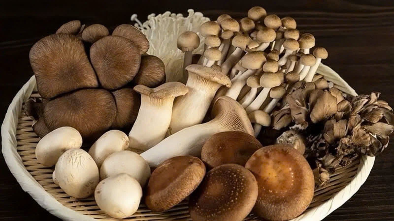 z6092688297688 accbf11053f971cc6e525be50a6a3e20