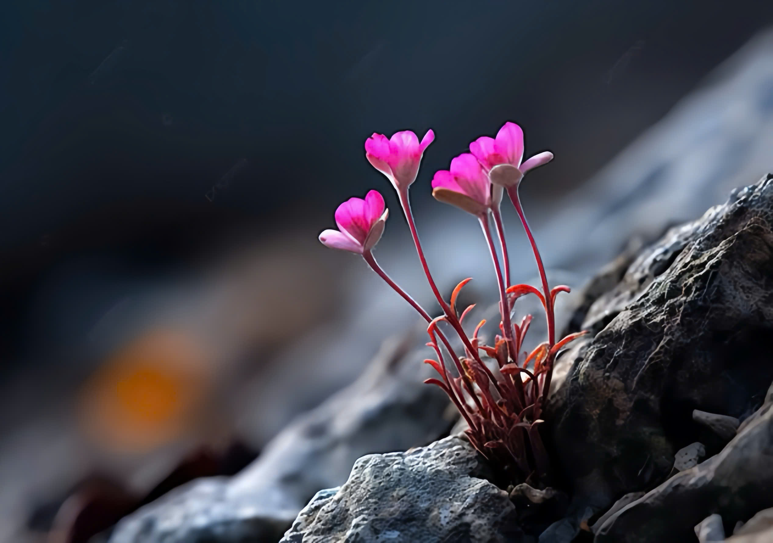 z6160683832566 00e5337294b2009d42461fcfa9565834